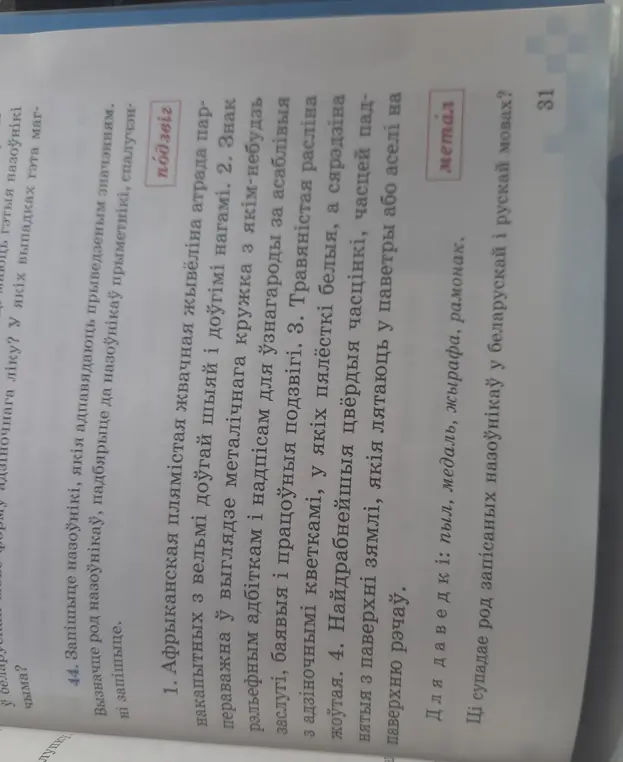 Определи род существительных: жырафа, медаль, рамонак, пыл.