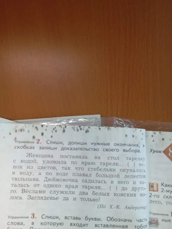 Мне нужно списать, дописать нужные окончания, в скобках записать доказательство своего выбора в упражнении 2