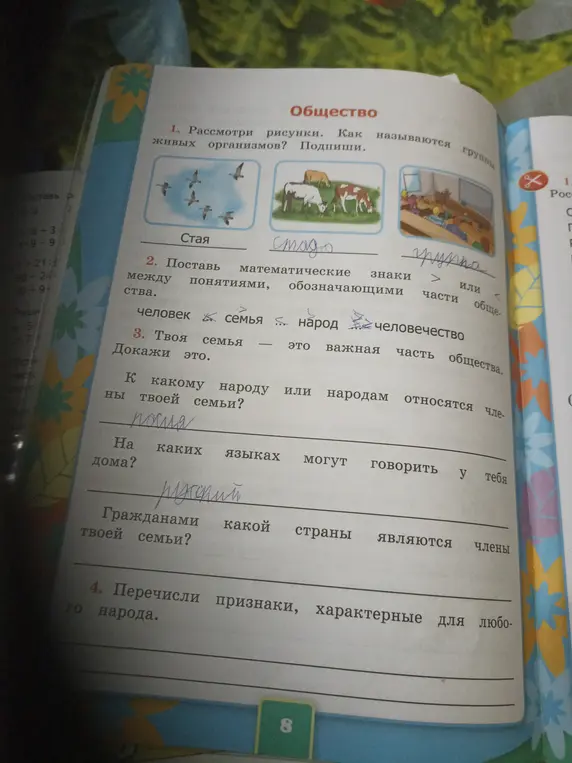 Рассмотри рисунки. Как называются группы живых организмов?
