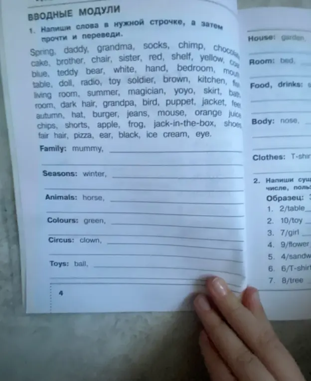 Помоги разложить слова по категориям из упражнения 1