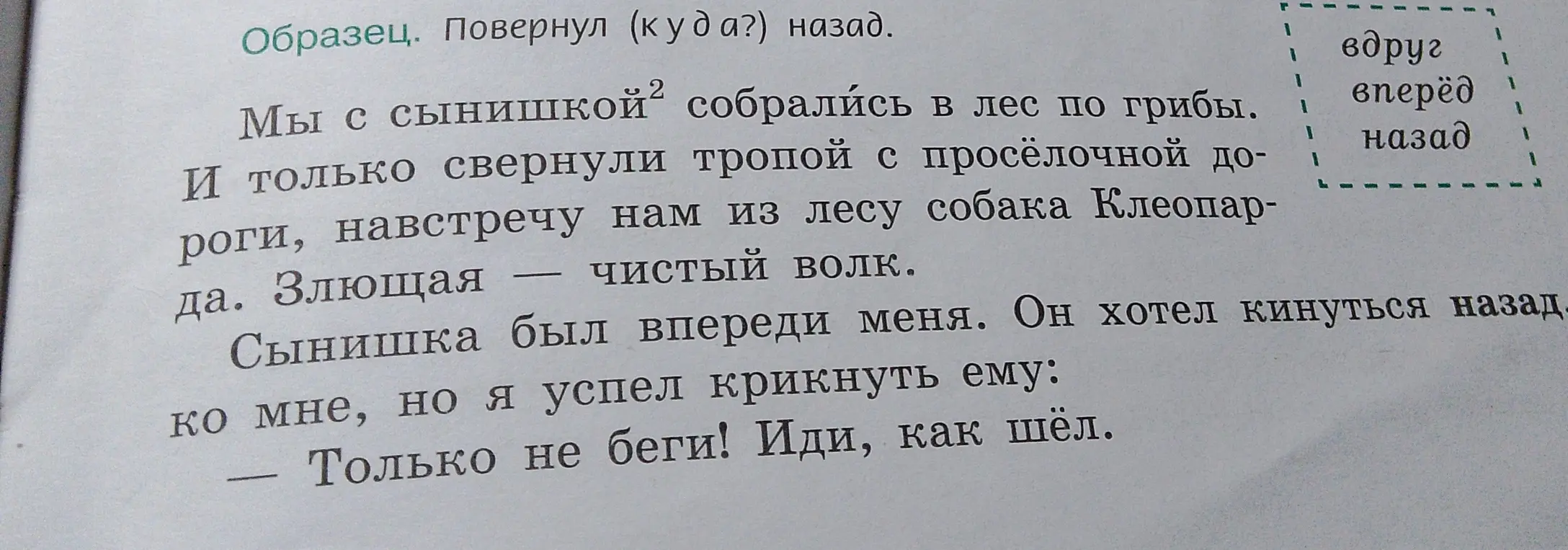 Объясни, почему слова «вдруг», «вперёд», «назад» являются наречиями