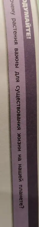 Объясни, почему растения важны для существования жизни на нашей планете