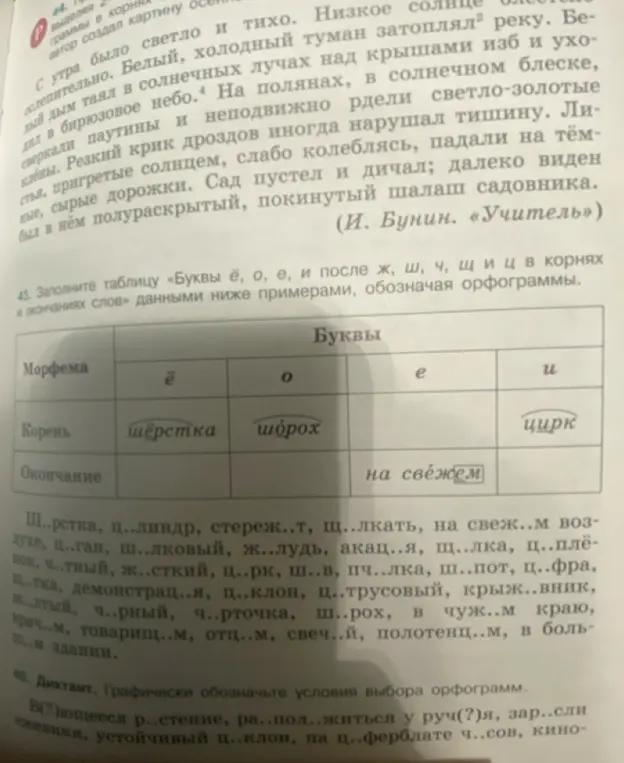 Заполни таблицу «Буквы ё, о, е, и после ж, ш, ч, щиц в корнях и окончаниях слов» данными ниже примерами, обозначая орфограммы.