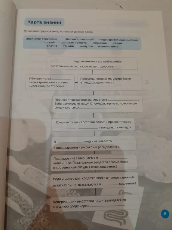 Ты просишь заполнить пропуски в предложениях по естествознанию, используя предоставленные слова
