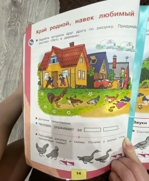 Дополни предложение: Человек ухаживает за...