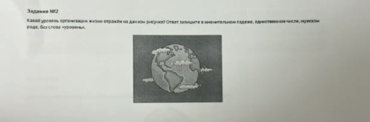 Какой уровень организации жизни отражён на рисунке?