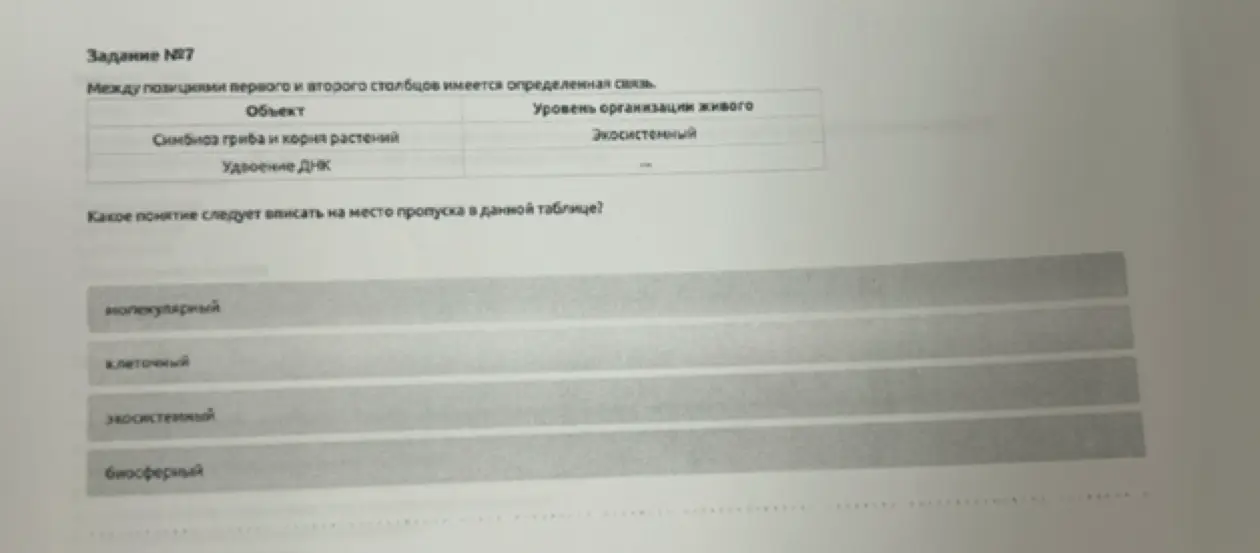Какой уровень организации живого соответствует удвоению ДНК?