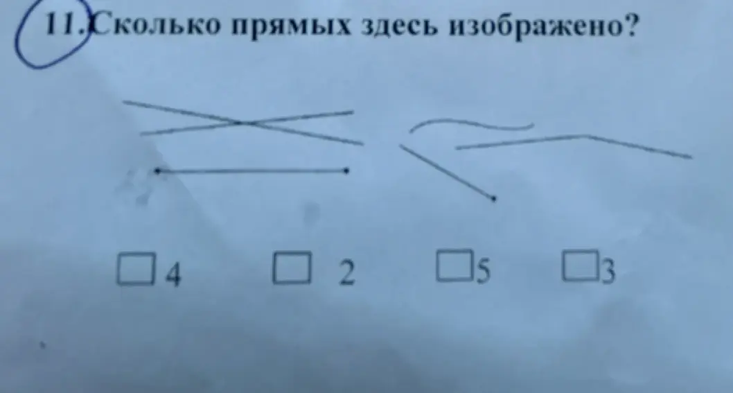 Ты просишь посчитать, сколько прямых линий изображено на картинке.