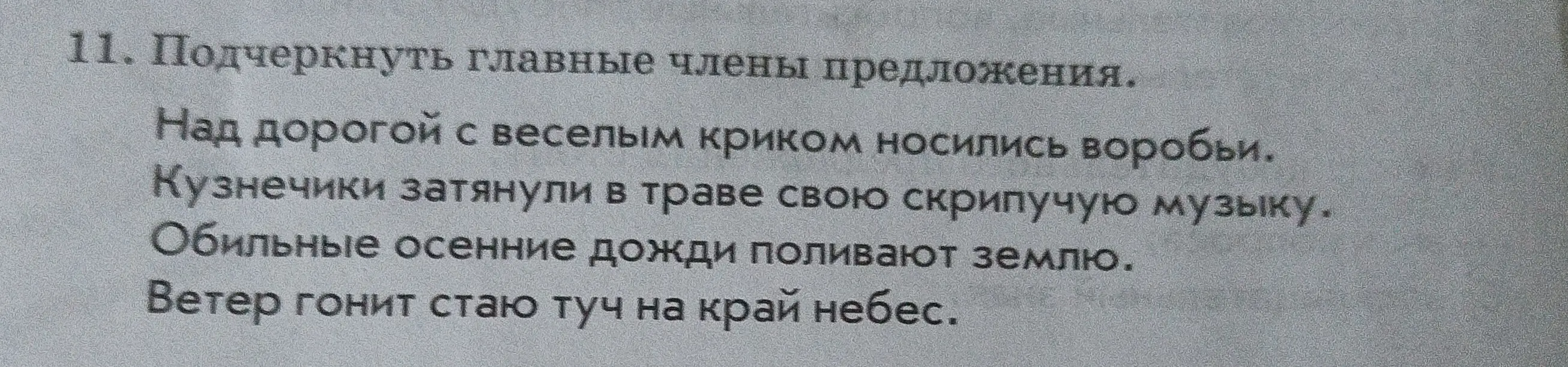 Ты просишь подчеркнуть главные члены предложения в тексте