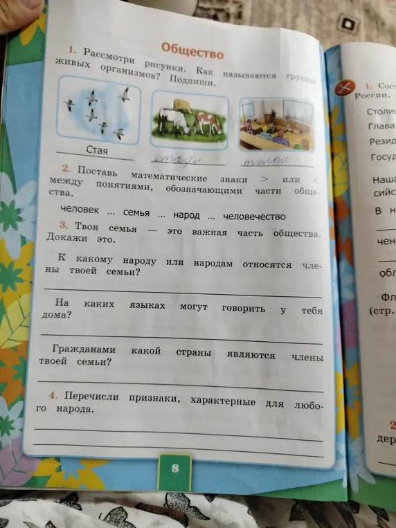 Составь названия для групп живых организмов на рисунках, поставь математические знаки между понятиями, обозначающими части общества.