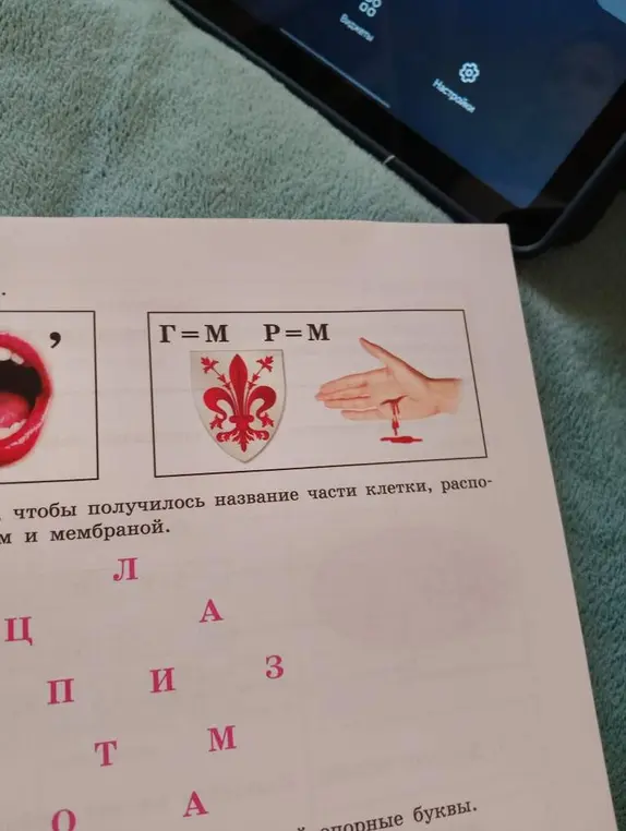 Ты просишь, чтобы я помог составить слово из букв, чтобы получилось название части клетки