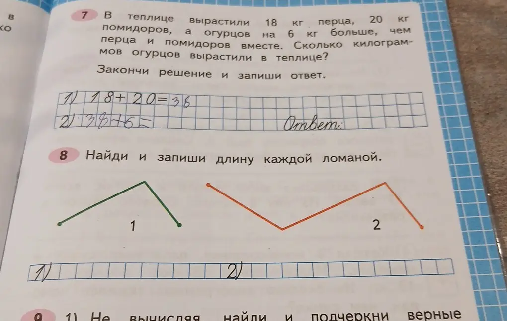 Можешь ли ты помочь мне решить задачу про теплицу, где вырастили перец, помидоры и огурцы? Также нужно найти длину каждой ломаной.