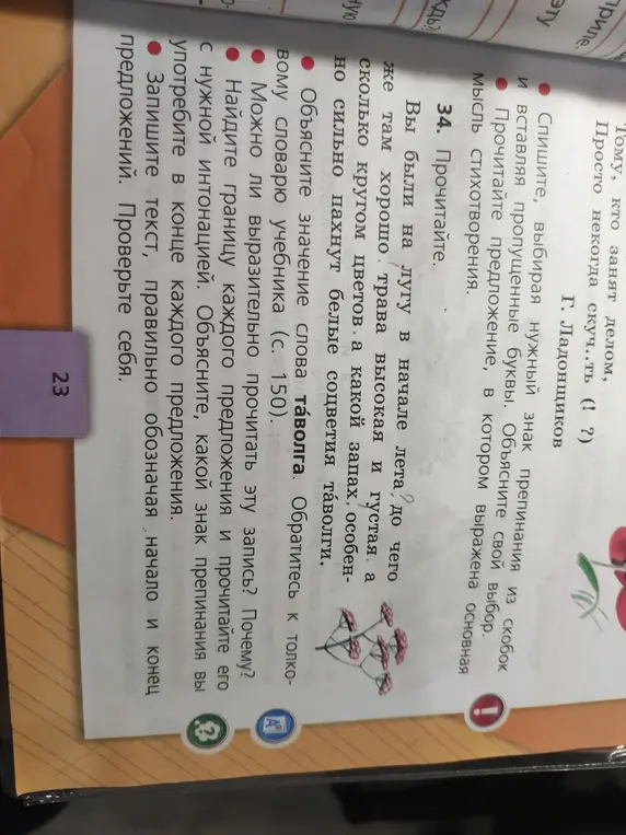 Объясни значение слова «таволга».