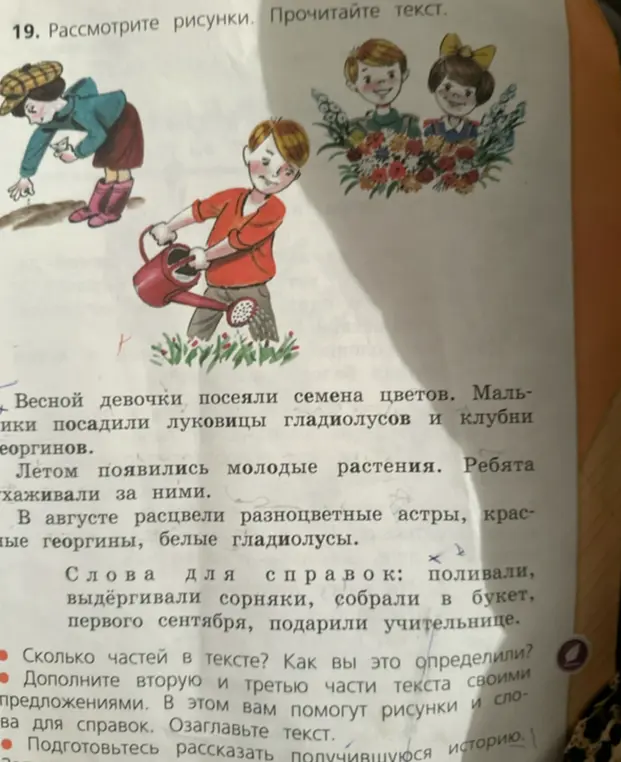 Определи, сколько частей в тексте и как ты это определил.