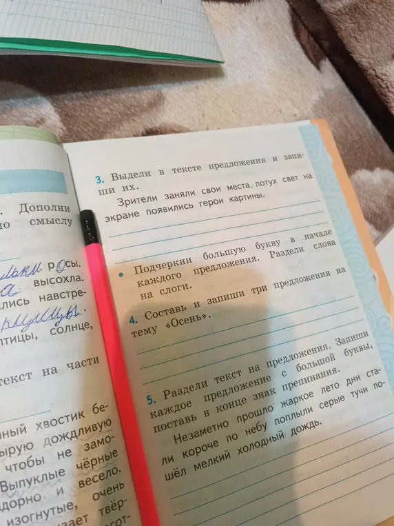 Выдели в тексте предложения и запиши их.