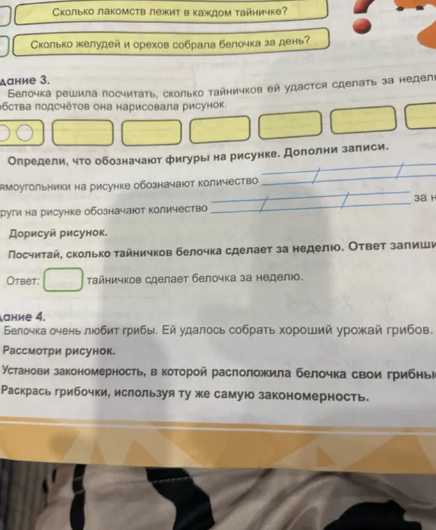 Помоги определить, что обозначают фигуры на рисунке и посчитай, сколько тайничков белочка сделает за неделю