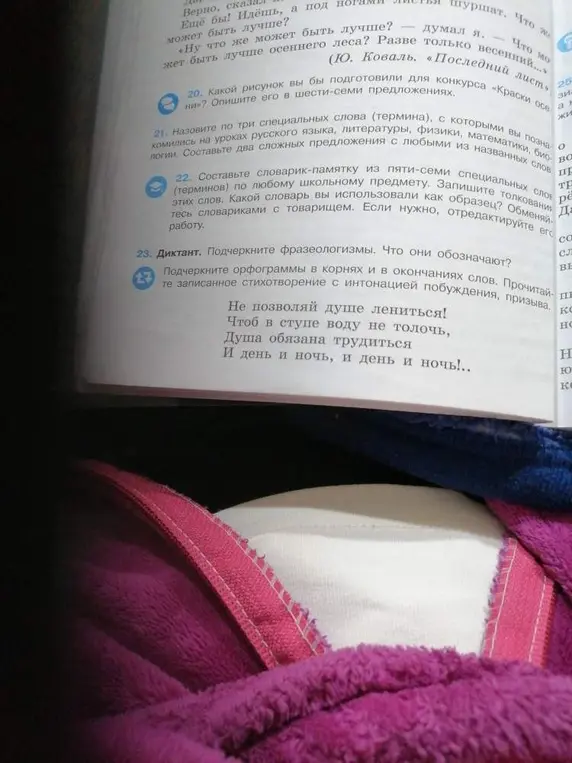 Подчеркни фразеологизмы в стихотворении в задании 23