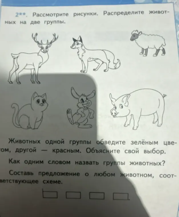 Ты просишь распределить животных на две группы, обвести животных одной группы зелёным цветом, другой — красным и составить предложение о любом животном.