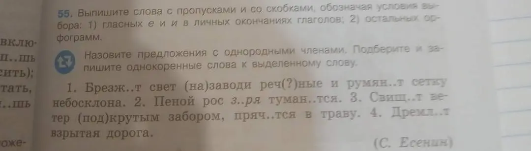 Назови предложения с однородными членами и подбери однокоренные слова к выделенному слову в тексте.
