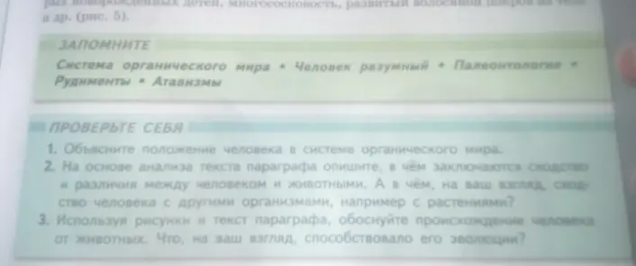 Объясни положение человека в системе органического мира.