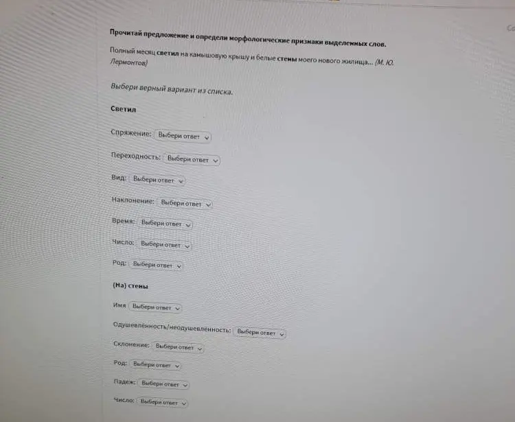 Определи морфологические признаки выделенных слов "светил" и "стены" в предложении
