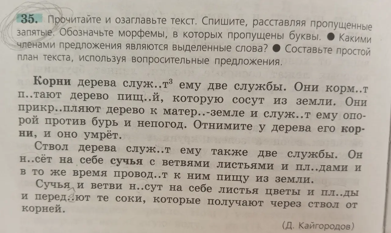 Объясни, как выполнить упражнение: прочитать и озаглавить текст, списать, расставляя пропущенные запятые, обозначить морфемы, в которых пропущены буквы, определить, какими членами предложения являются выделенные слова, составить простой план текста, используя вопросительные предложения.