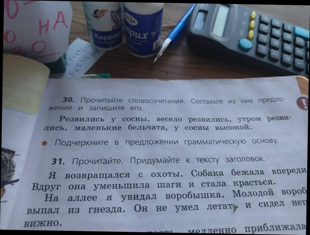 Составь предложение и подчеркни грамматическую основу. Придумай название к тексту.