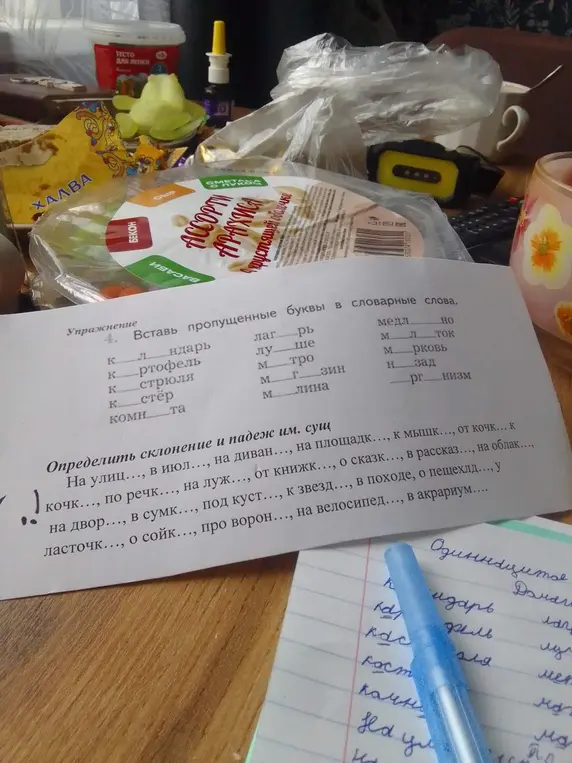 Ты просишь вставить пропущенные буквы в словарные слова и определить склонение и падеж имён существительных в предложениях.