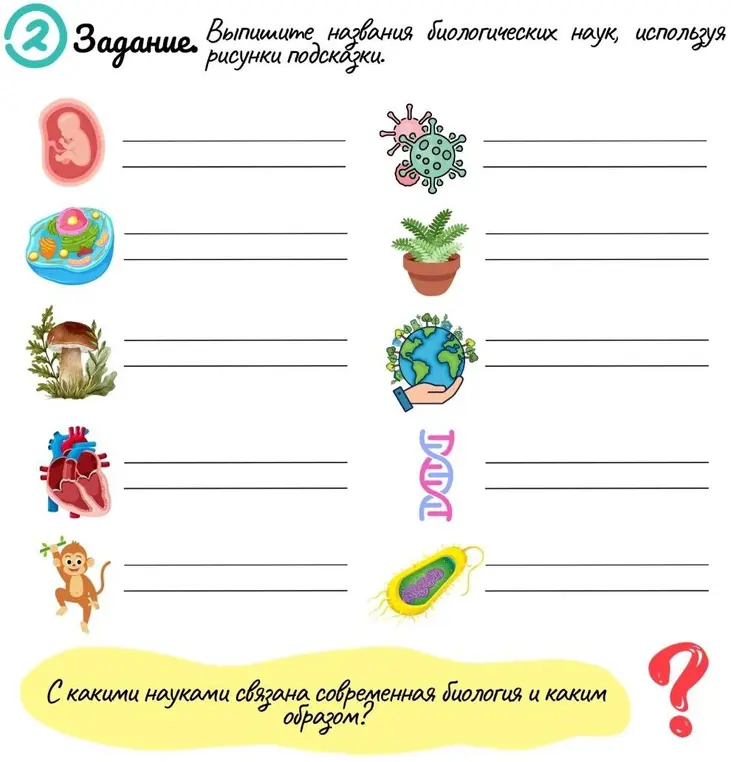 Можешь ли ты выписать названия биологических наук, используя рисунки подсказки?