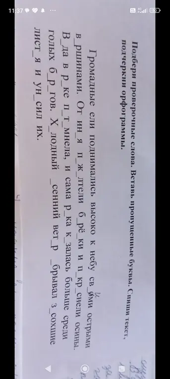 Подбери проверочные слова и вставь пропущенные буквы в первом предложении текста: Громадные ели поднимались высоко к небу в_ршинами.