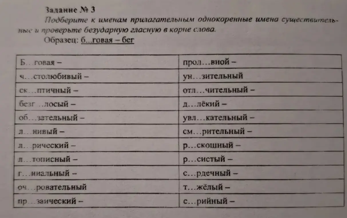 Подбери к именам прилагательным однокоренные имена существительные: б...говая