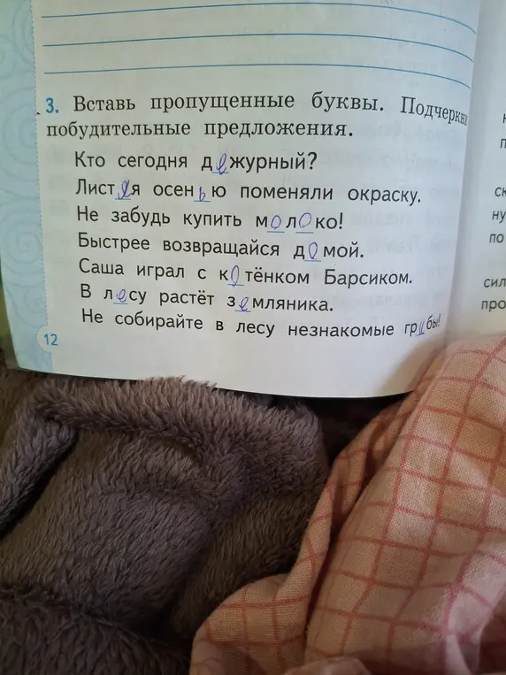 Ты просишь вставить пропущенные буквы в предложениях и подчеркнуть побудительные предложения.