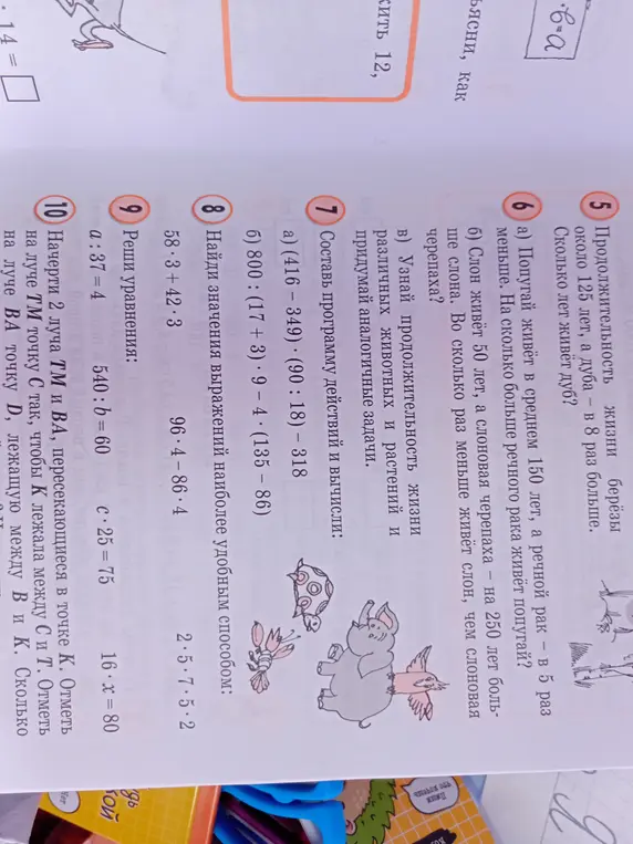 Можешь решить задания 5, 6, 7, 8, 9 и 10?