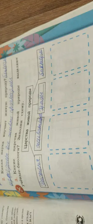 Заполни схему царства живой природы