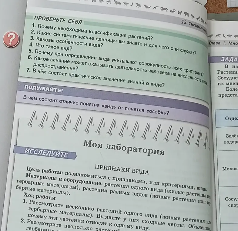 Ты спрашиваешь ответы на вопросы: Почему необходима классификация растений? Какие систематические единицы ты знаешь? Каковы особенности вида? Что такое вид? и т.д.