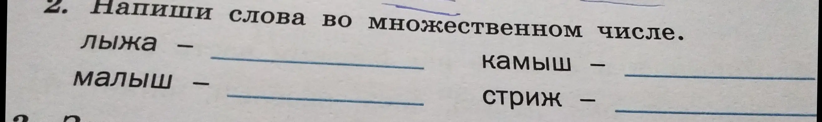 Измени слова 'лыжа' во множественном числе