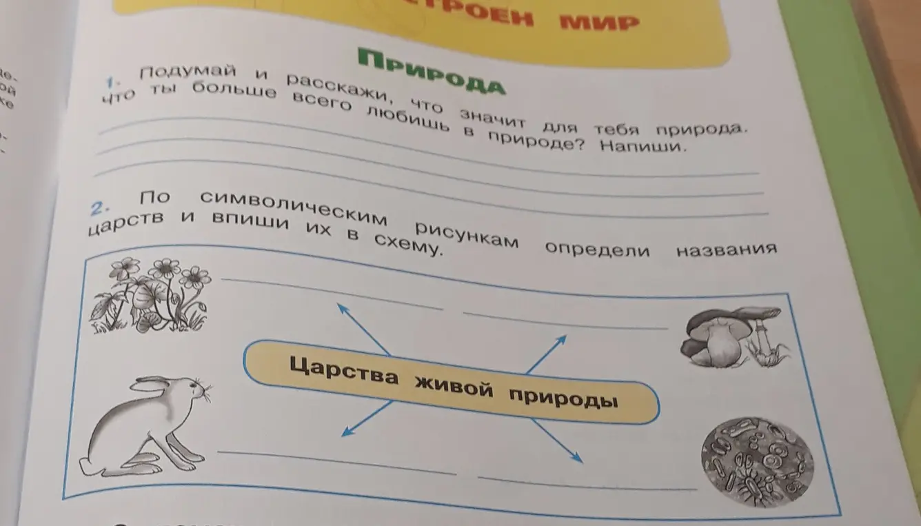 Предложи схему названий царств живой природы по рисункам