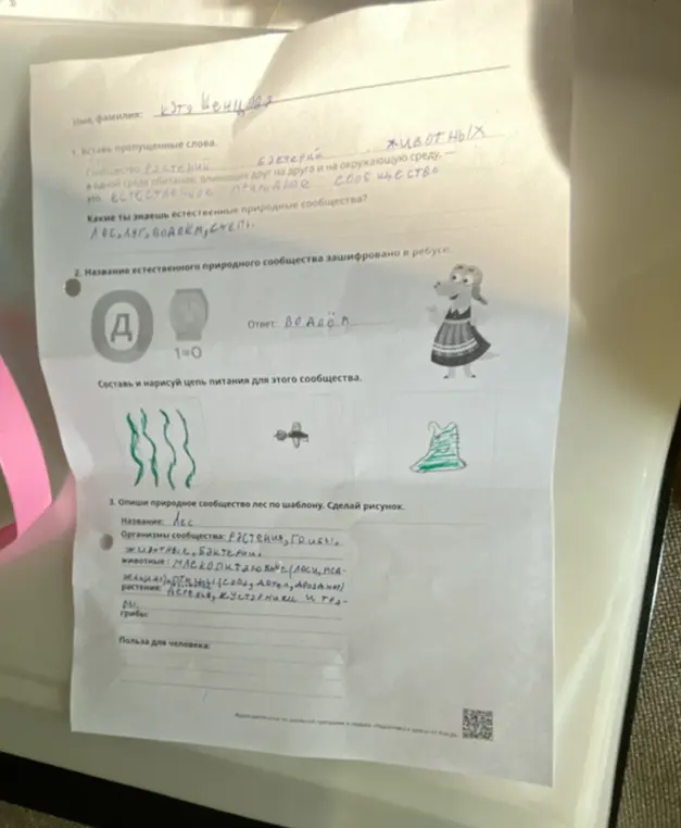 Заполни пропущенные слова в предложении о сообществе растений, бактерий и животных