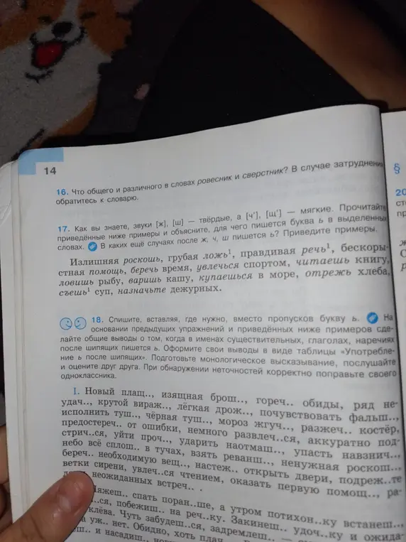 Объясни, где нужно вставить мягкий знак в упражнении 18