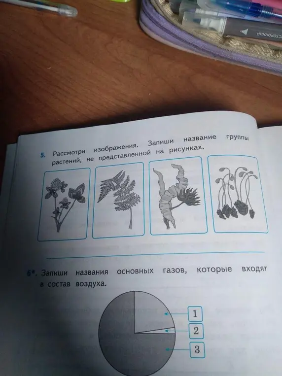 Помоги мне определить, какие группы растений не представлены на рисунках и назвать основные газы, входящие в состав воздуха.