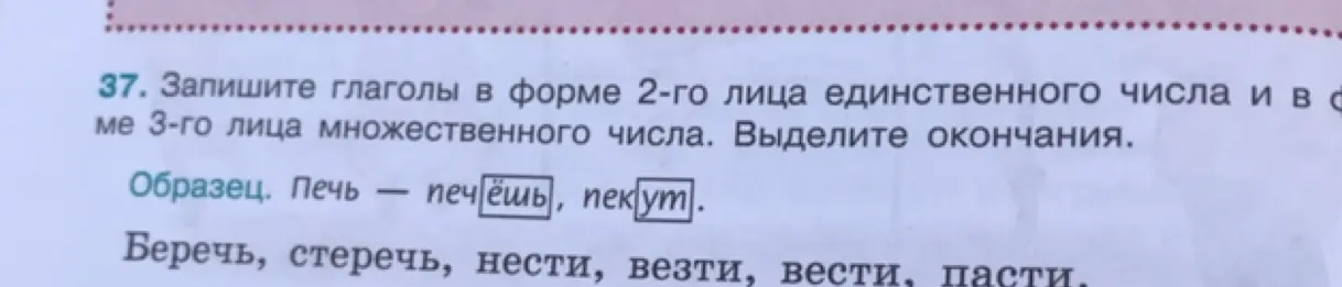 Запиши глаголы «беречь, стеречь, нести, везти, вести, пасти» в форме 2-го лица единственного числа и в форме 3-го лица множественного числа