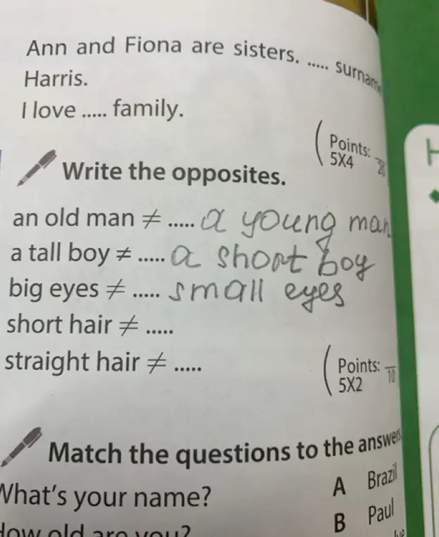 Напиши антонимы к словам "short hair" и "straight hair"