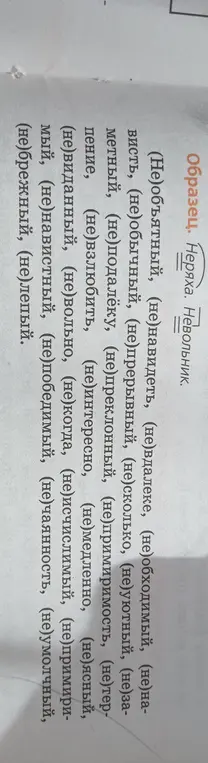 Объясни, как правильно писать слова с "не" из картинки.