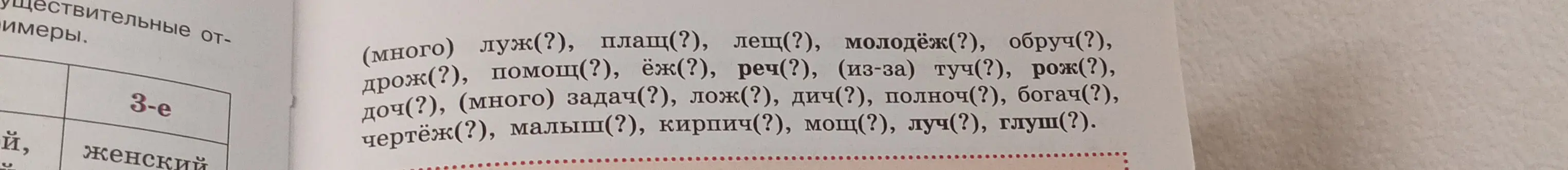 Выпиши в левый столбик существительные 3-го склонения, а в правый - все остальные