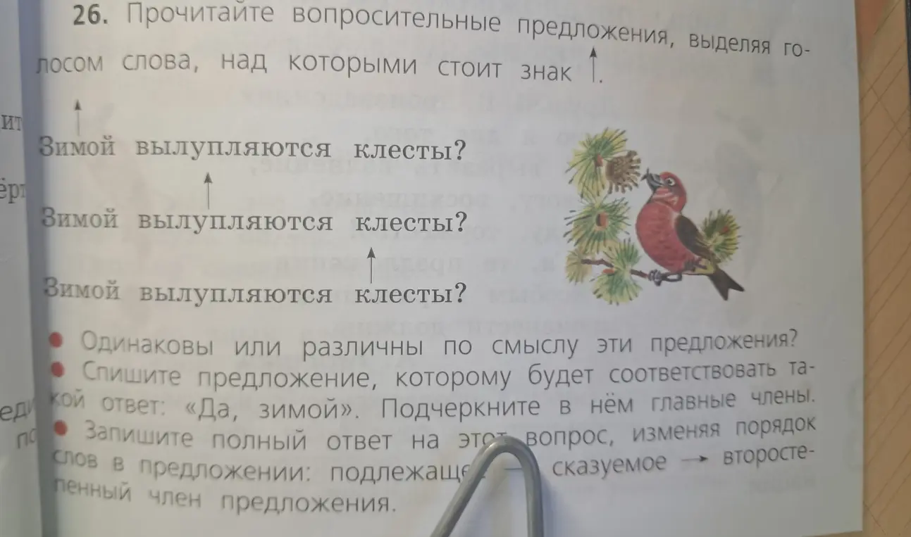 Выполни упражнение: прочитай вопросительные предложения, выделяя голосом слова, над которыми стоит знак, определи, одинаковы или различны по смыслу эти предложения, спиши предложение, которому будет соответствовать такой ответ: «Да, зимой», запиши полный ответ на этот вопрос, изменяя порядок слов в предложении: подлежащее - сказуемое - второстепенный член предложения.