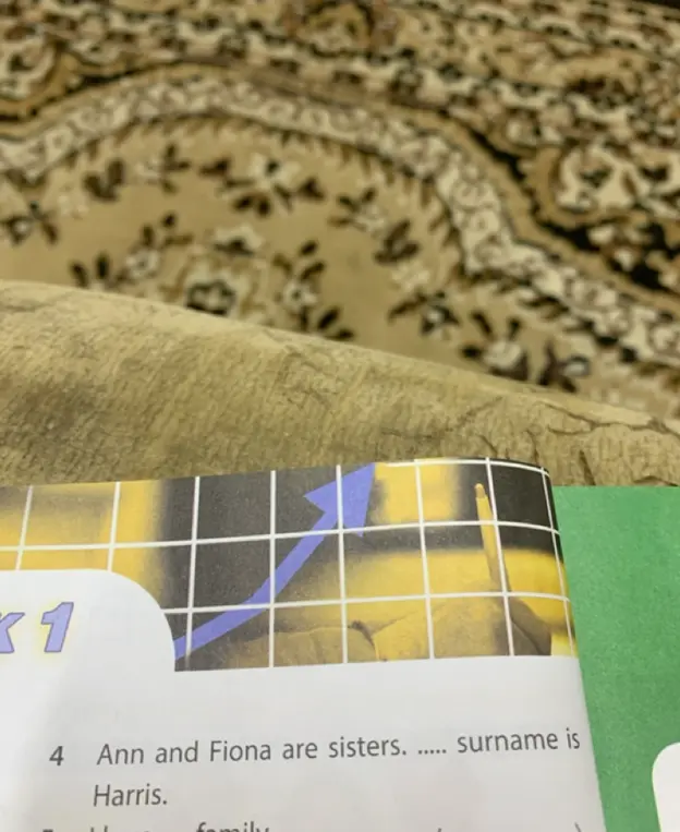 Как вставить местоимение в предложение 'Ann and Fiona are sisters. ..... surname is Harris'?