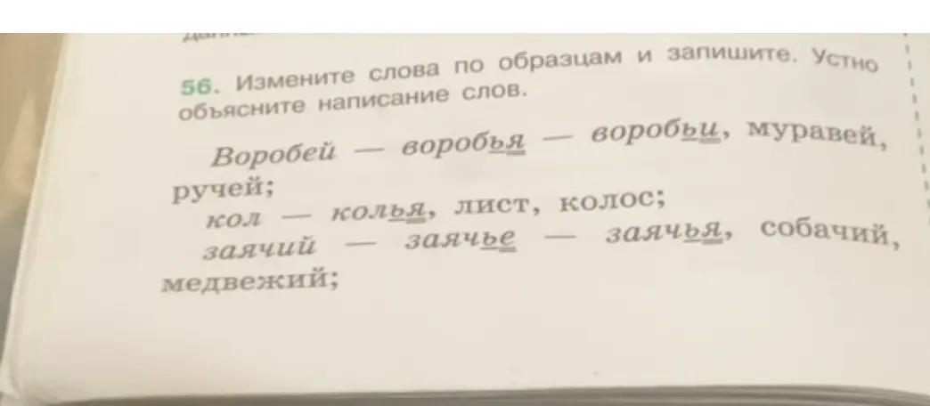 Измени слова по образцам: муравей, ручей, лист, колос, собачий, медвежий