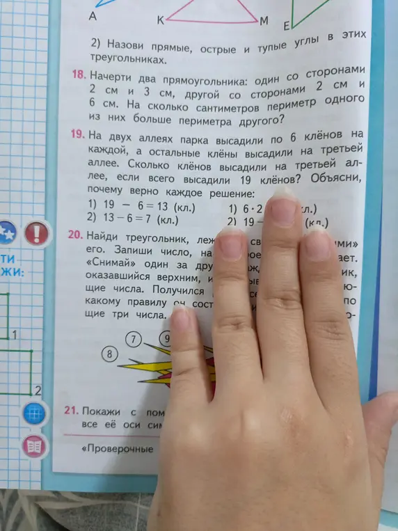 Как решить задачу про прямоугольники и клёны?