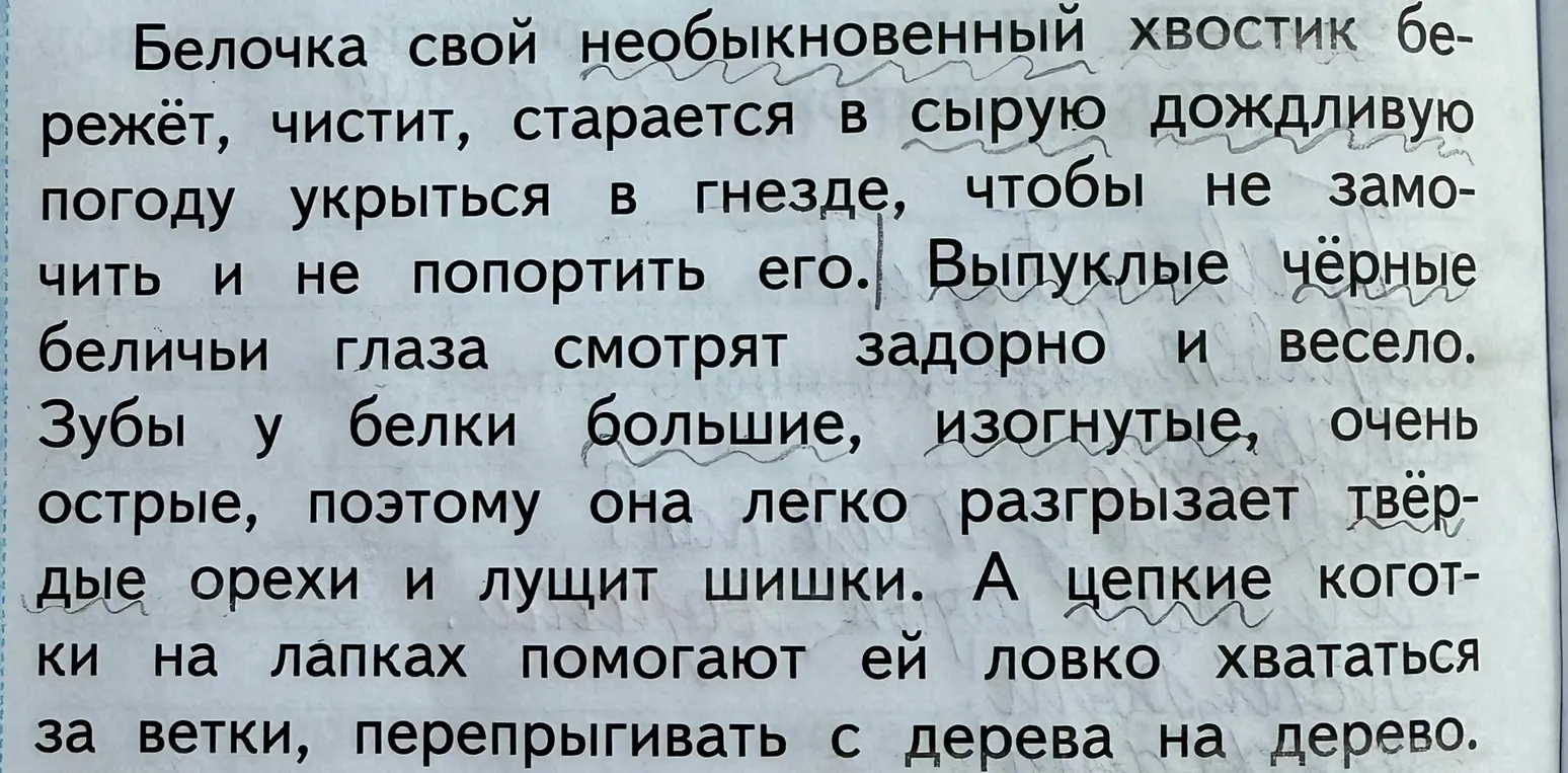 Ты просишь найти в тексте слова, которые являются признаками предметов.