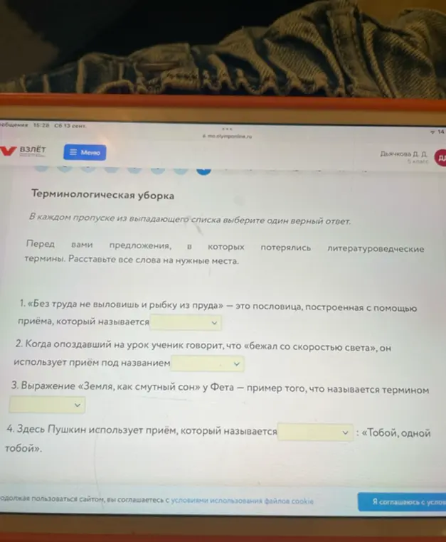 Помоги мне определить термины в предложениях по литературе